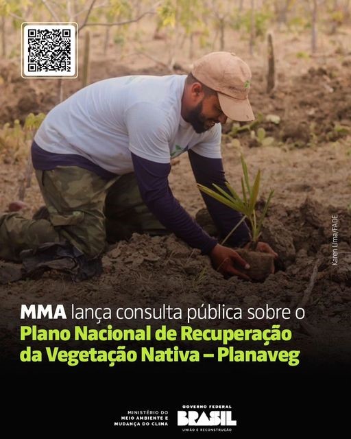 Ministério lança Consulta Pública sobre o Plano nacional de Recuperação da Vegetação Nativa (Planaveg)